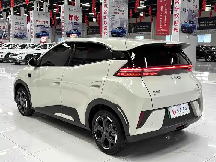 Seagull 2025 Intelligent Driving Version, 305 km, Freedom Edition 4