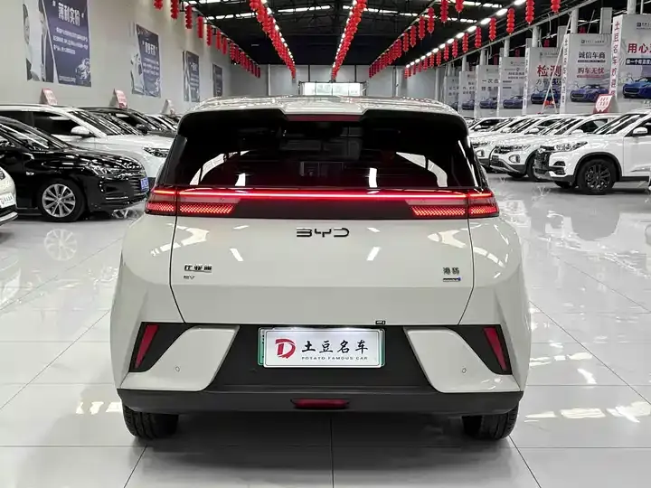 Seagull 2025 Intelligent Driving Version, 305 km, Freedom Edition 5