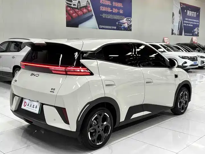 Seagull 2025 Intelligent Driving Version, 305 km, Freedom Edition 6