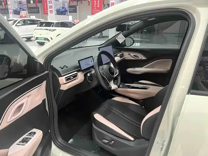 Seagull 2025 Intelligent Driving Version, 305 km, Freedom Edition 7