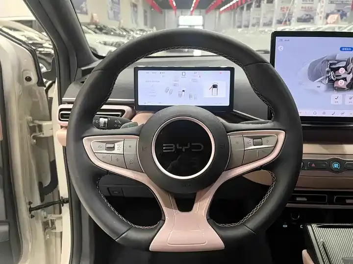 Seagull 2025 Intelligent Driving Version, 305 km, Freedom Edition 8