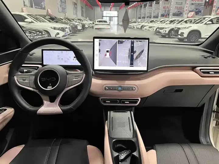 Seagull 2025 Intelligent Driving Version, 305 km, Freedom Edition 9