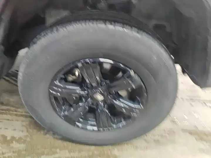 Tank 300 2021 Off-road Edition 2.0T Conqueror 6