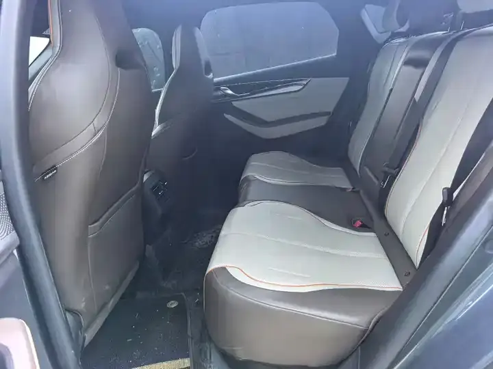 Qin PLUS 2024 Glory Edition EV 420KM Leading Model 6