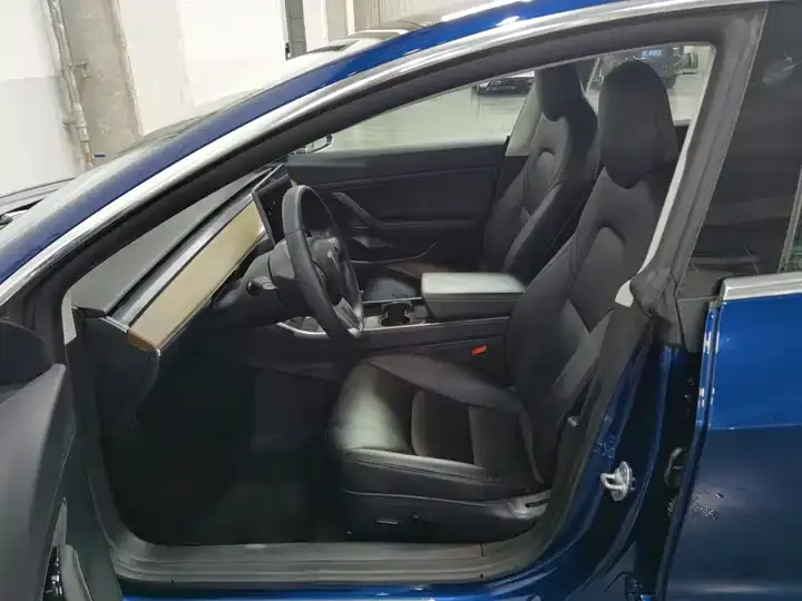 Model 3 2020 Standard Endurance Rear Drive Upgrade 10