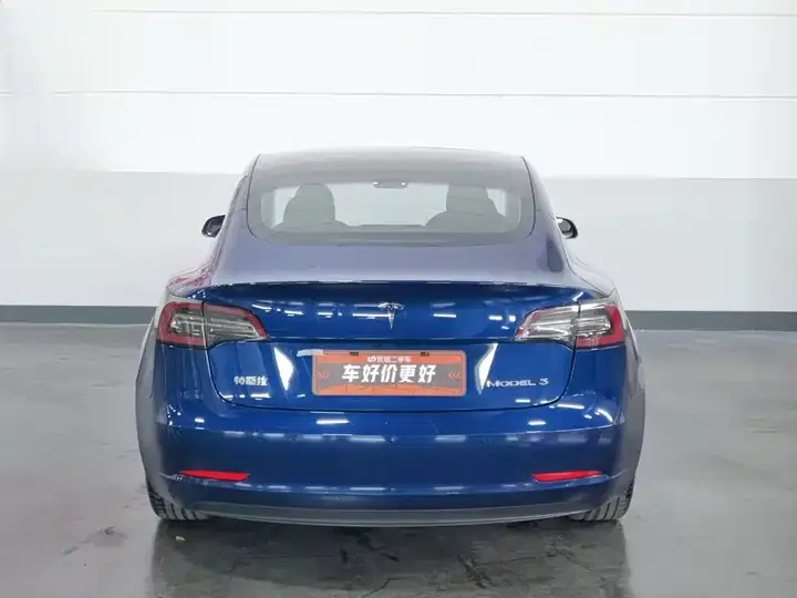 Model 3 2020 Standard Endurance Rear Drive Upgrade 4