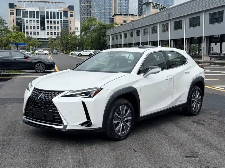 Lexus UX New Energy 2020 300e Pure Yue Edition - View 1
