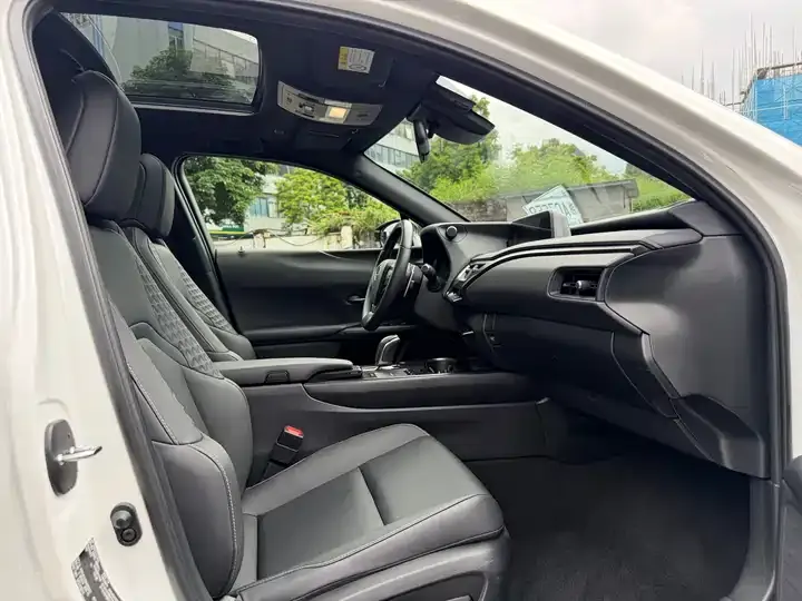 Lexus UX New Energy 2020 300e Pure Yue Edition 10