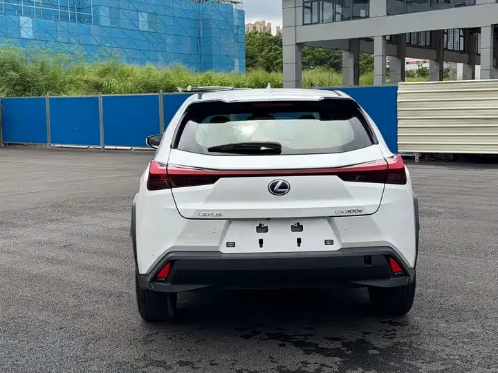 Lexus UX New Energy 2020 300e Pure Yue Edition 11