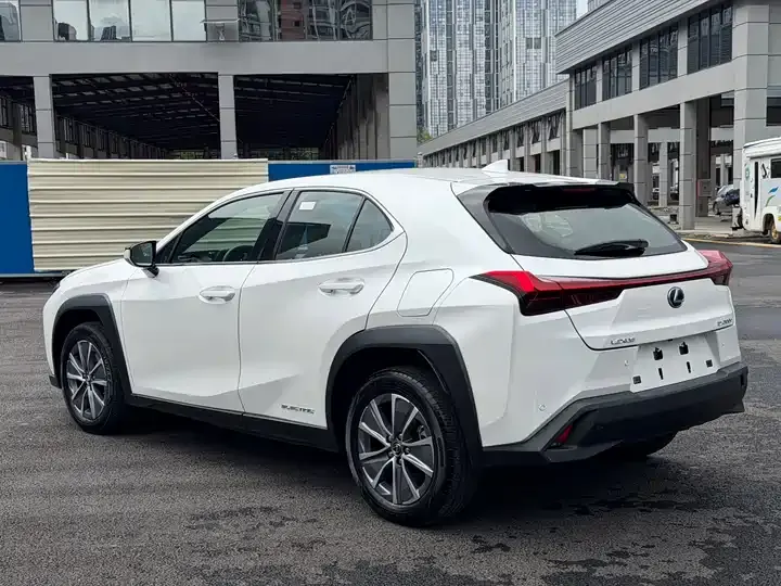 Lexus UX New Energy 2020 300e Pure Yue Edition 12