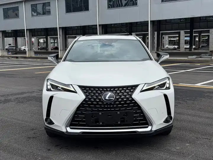 Lexus UX New Energy 2020 300e Pure Yue Edition 2