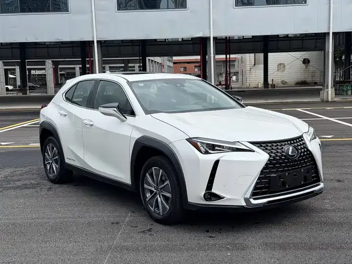 Lexus UX New Energy 2020 300e Pure Yue Edition 3