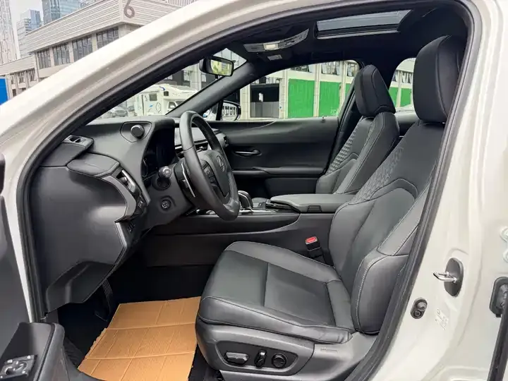 Lexus UX New Energy 2020 300e Pure Yue Edition 4