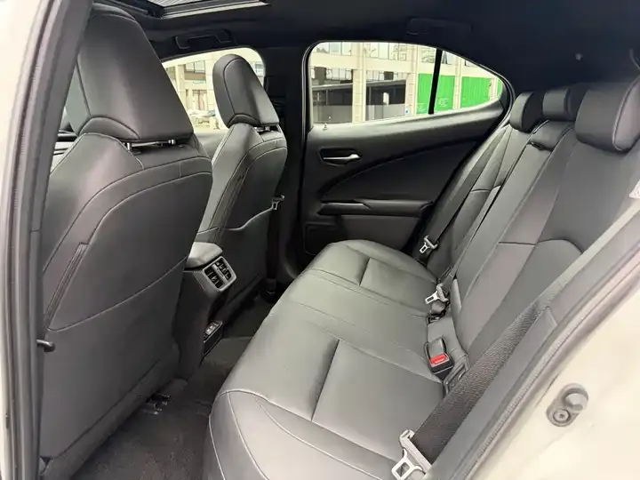 Lexus UX New Energy 2020 300e Pure Yue Edition 5