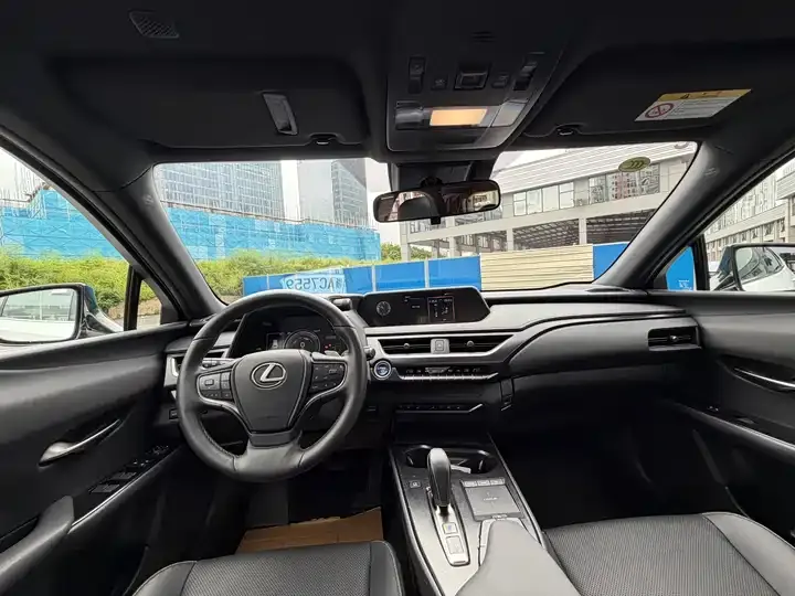 Lexus UX New Energy 2020 300e Pure Yue Edition 6
