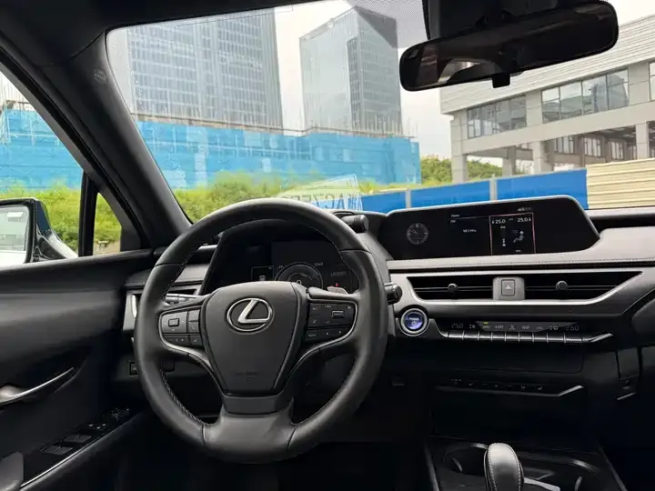 Lexus UX New Energy 2020 300e Pure Yue Edition 7