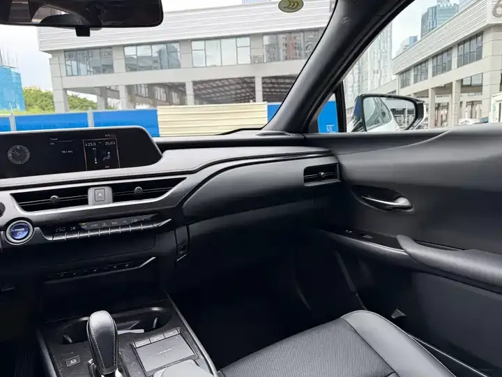 Lexus UX New Energy 2020 300e Pure Yue Edition 8