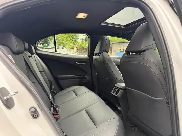 Lexus UX New Energy 2020 300e Pure Yue Edition 9