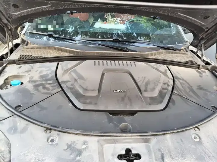 Song PLUS New Energy 2024 Glory Edition DM-i 110km Flagship 11