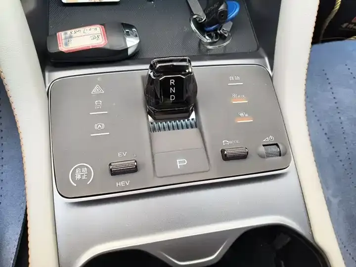 Song PLUS New Energy 2024 Glory Edition DM-i 110km Flagship 7