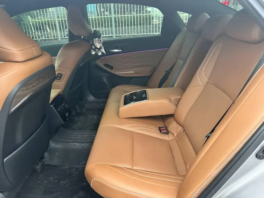 Toyota 2024 Asian Dragon Shuangqing 2.0 Stepless Deluxe Automatic Gear 7