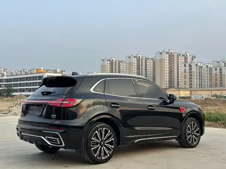 HongQi HS5 2023 2.0T 4WD Flag Pro Edition 9
