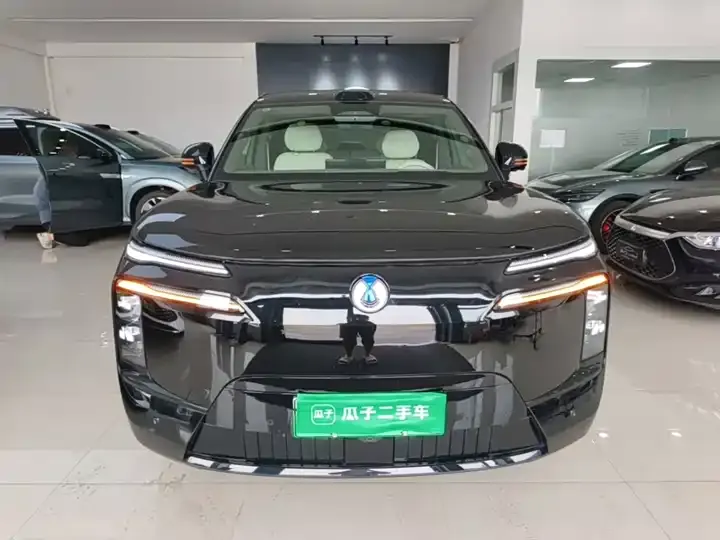 Denza N8L 2025 flagship 3