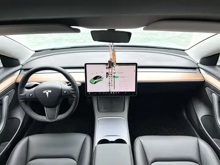 Model 3 2021 Standard Endurance Rear Drive Upgrade 3D6 4