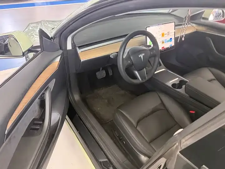 Model 3 2021 Standard Endurance Rear Drive Upgrade 3D6 6