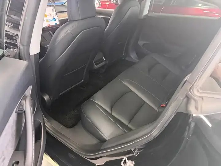 Model 3 2021 Standard Endurance Rear Drive Upgrade 3D6 7