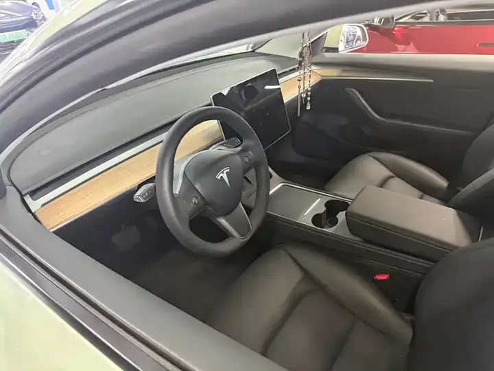 Model 3 2021 Standard Endurance Rear Drive Upgrade 3D6 8