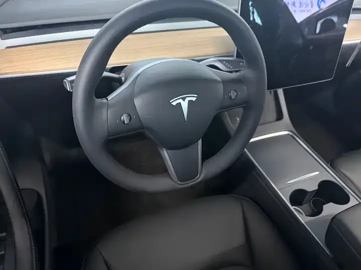 Model 3 2021 Standard Endurance Rear Drive Upgrade 3D6 9