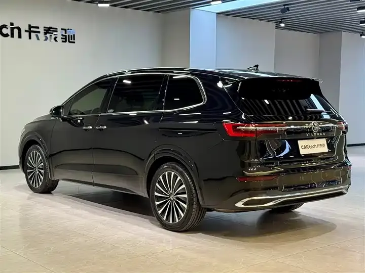 Weiran 2024 380TSI Distinguished Edition 6