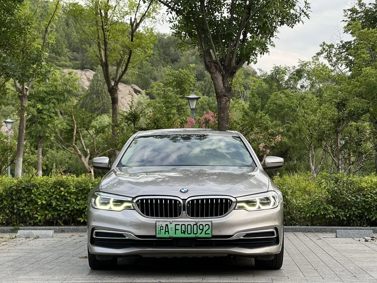 BMW 5 New Energy 2020 530Le 2.0T Mileage Upgrade Pioneer Automatic Gear 2