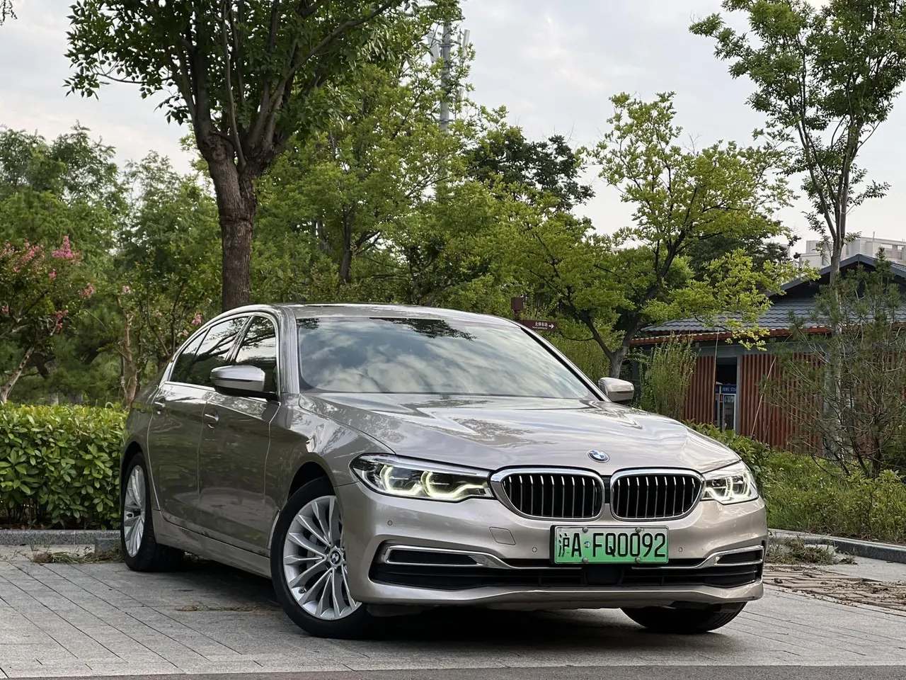 BMW 5 New Energy 2020 530Le 2.0T Mileage Upgrade Pioneer Automatic Gear 3