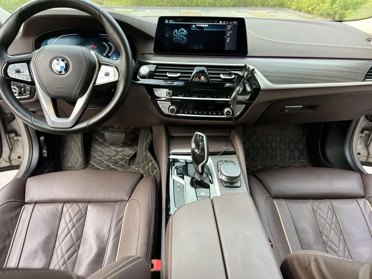 BMW 5 New Energy 2020 530Le 2.0T Mileage Upgrade Pioneer Automatic Gear 5