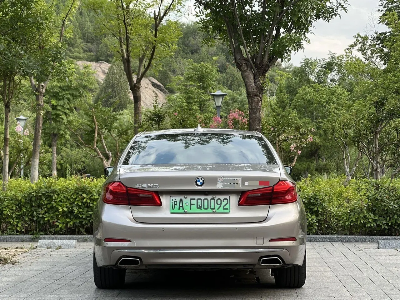 BMW 5 New Energy 2020 530Le 2.0T Mileage Upgrade Pioneer Automatic Gear 8
