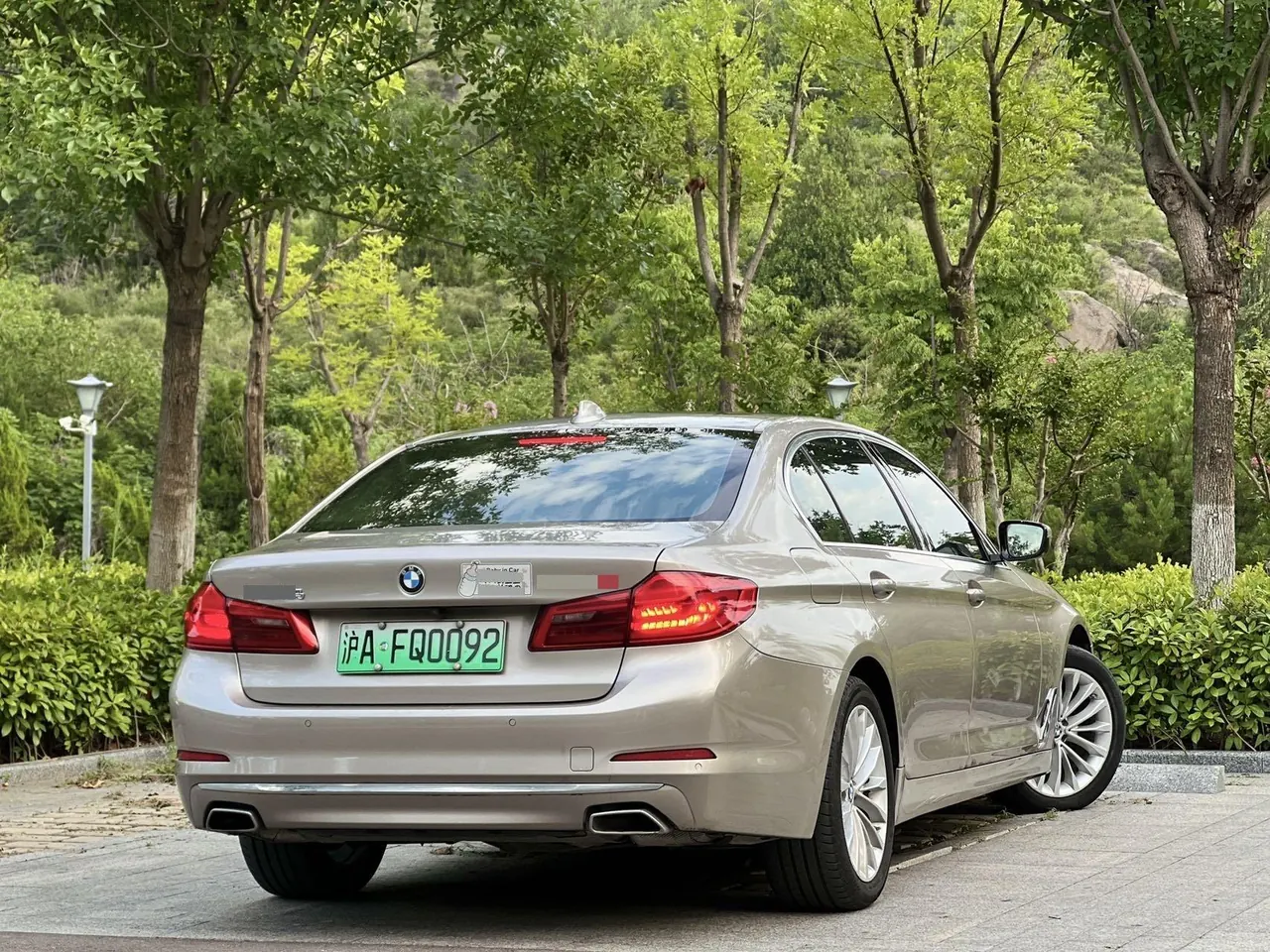 BMW 5 New Energy 2020 530Le 2.0T Mileage Upgrade Pioneer Automatic Gear 9