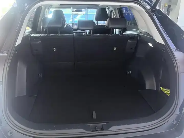 Willanda 2023 Dual Engine 2.5L E-CVT 4-wheel Drive Premium Edition 4