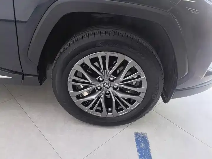 Willanda 2023 Dual Engine 2.5L E-CVT 4-wheel Drive Premium Edition 6