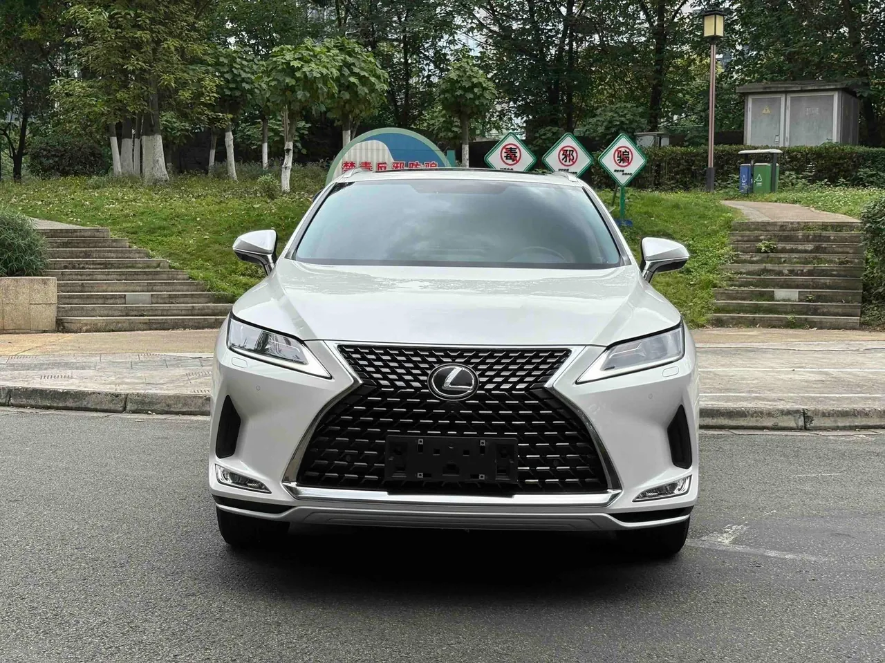 Lexus RX (Imported) 2020 RX300 2.0T Two-Drive Elite Edition (Revised) Automatic Gear 2
