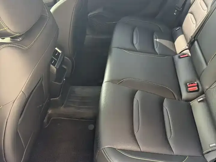 Xingrui 2023 1.5TD Kunlun Edition 10