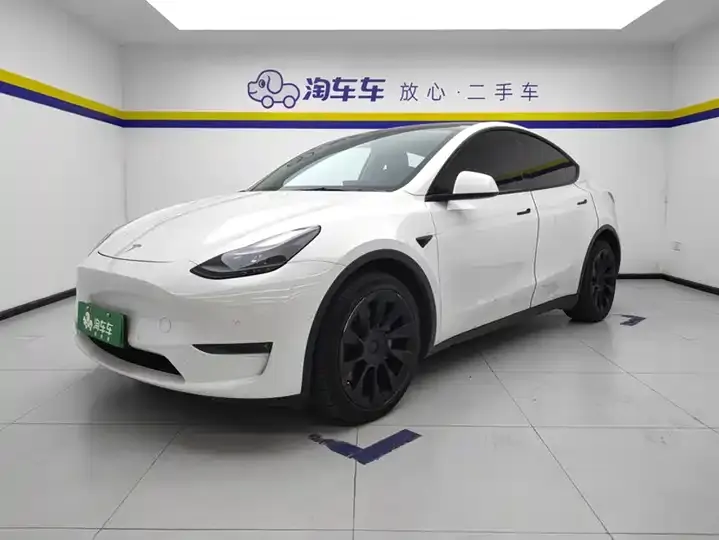 Model Y 2021 long-range all-wheel drive - View 1