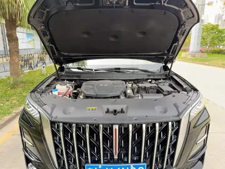 HongQi HS5 2023 2.0T Flag Pro Edition 11