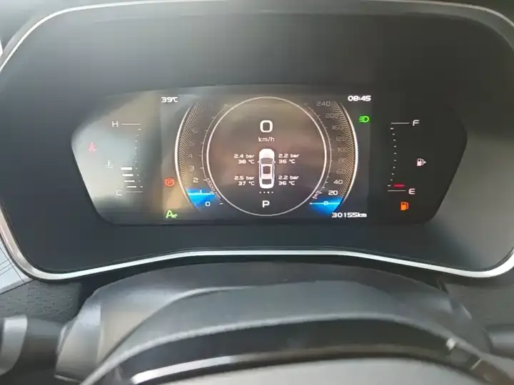 Xingrui 2023 2.0TD Luxury Model 12