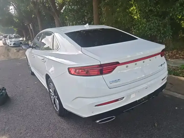 Xingrui 2023 2.0TD Luxury Model 5