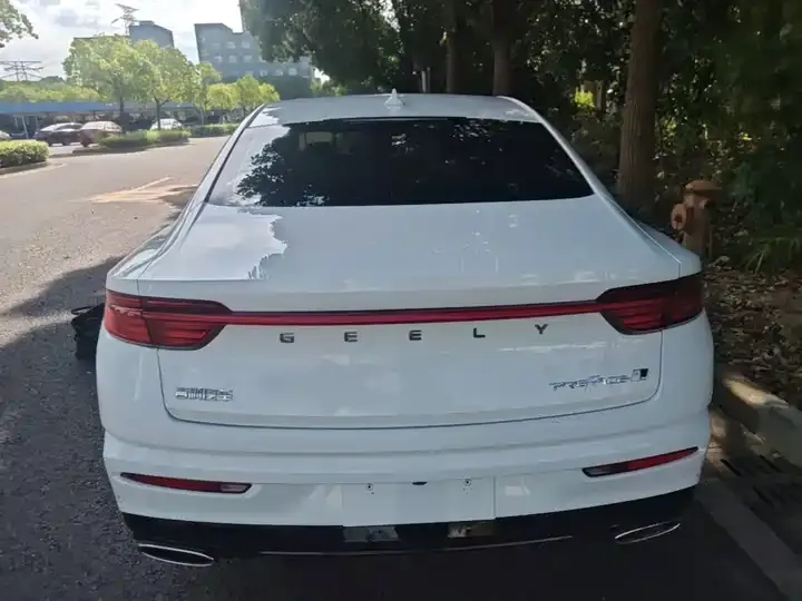 Xingrui 2023 2.0TD Luxury Model 6