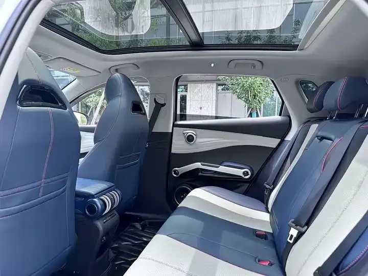Yuan PLUS 2023 Champion Edition 510KM Leading Model 6