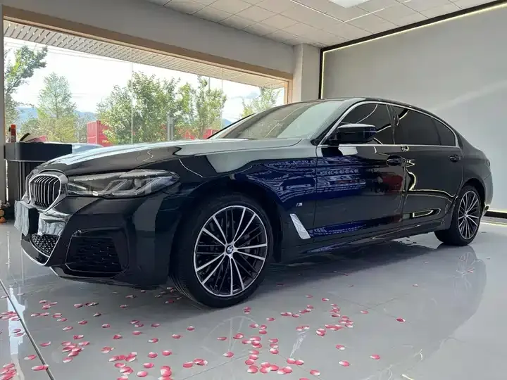 BMW 5 Series 2023 530Li Leading M Sports Suit - View 1