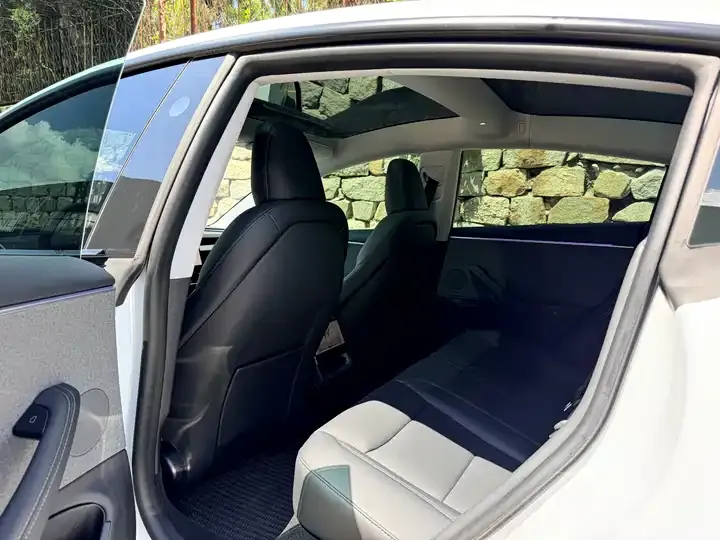 Model 3 2023 rear-wheel drive version 6